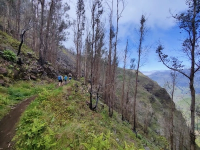 Coming back down, the climb behind us