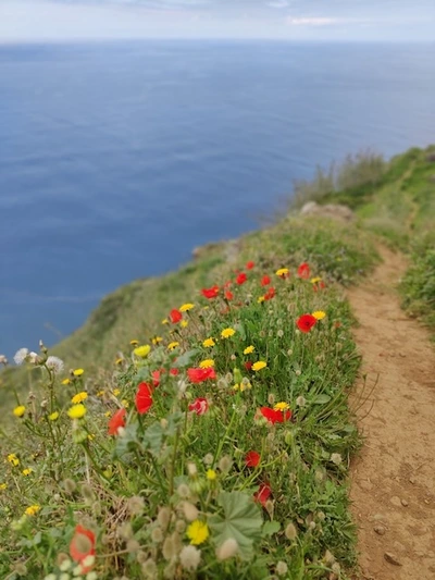 Porto Moniz natural swimming pools